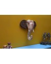 Wood Wall Decor-Animal Figure
